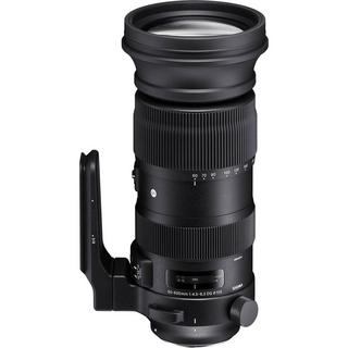 SIGMA  Sigma 60-600mm F4.5-6.3 DG OS HSM S SLR Teleobiettivo 