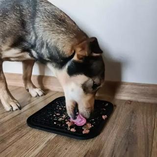 eStore  Tapis à lécher pour chien 