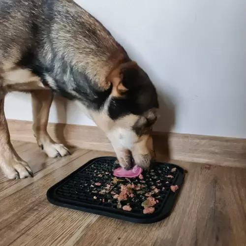 eStore  Tappetino da leccare per cane 