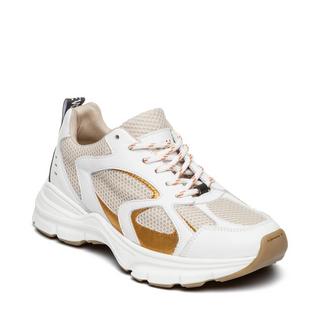 STEVE MADDEN  scarpe da ginnastica da plaja 