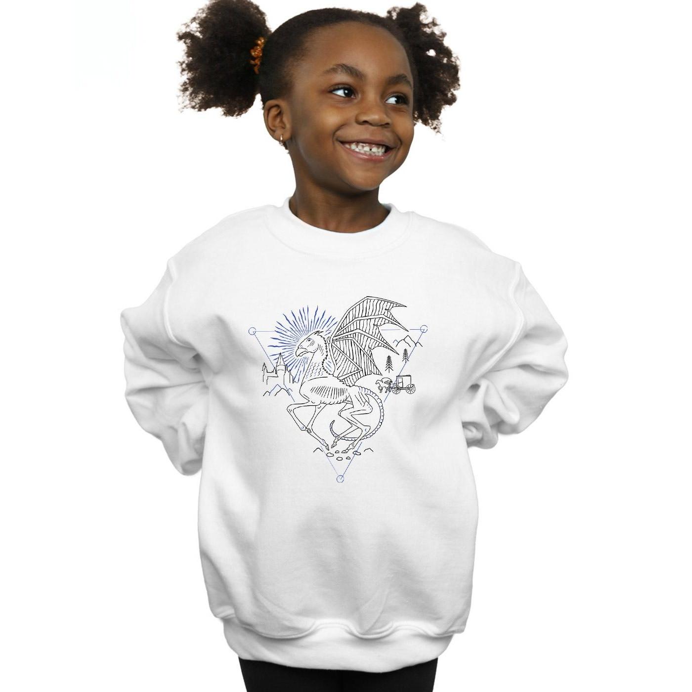 Harry Potter  Sweatshirt 