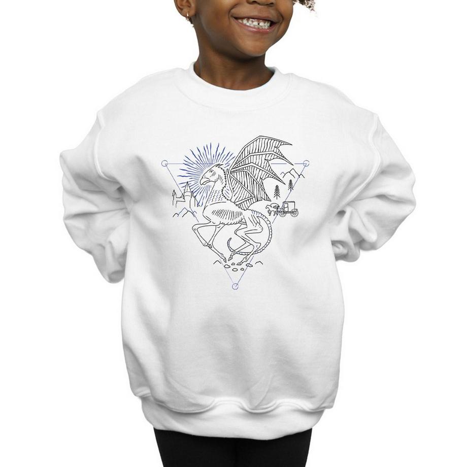 Harry Potter  Sweatshirt 