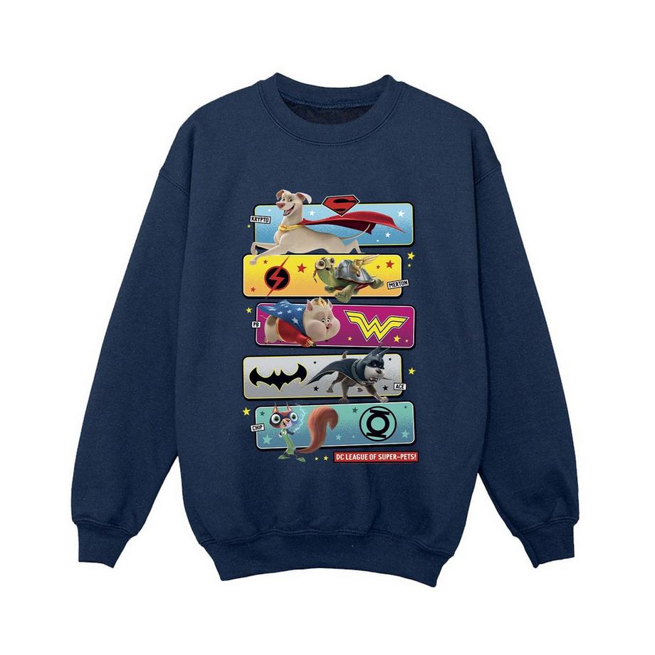 DC COMICS  DC League Of SuperPets Sweatshirt 