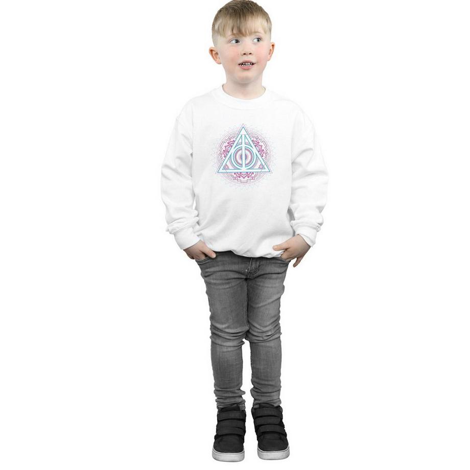 Harry Potter  Deathly Hallows Sweatshirt 