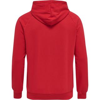 Hummel Isam 2.0 Sweatshirt à capuche  