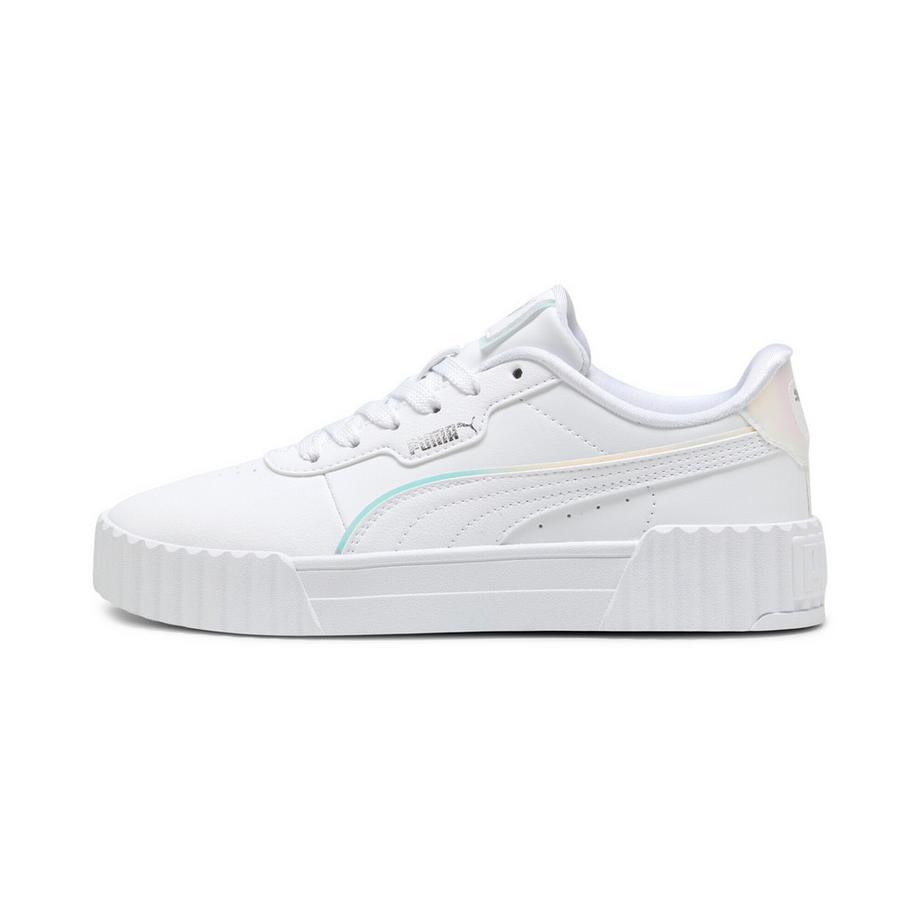 Baskets carina 3.0 holo 2.0