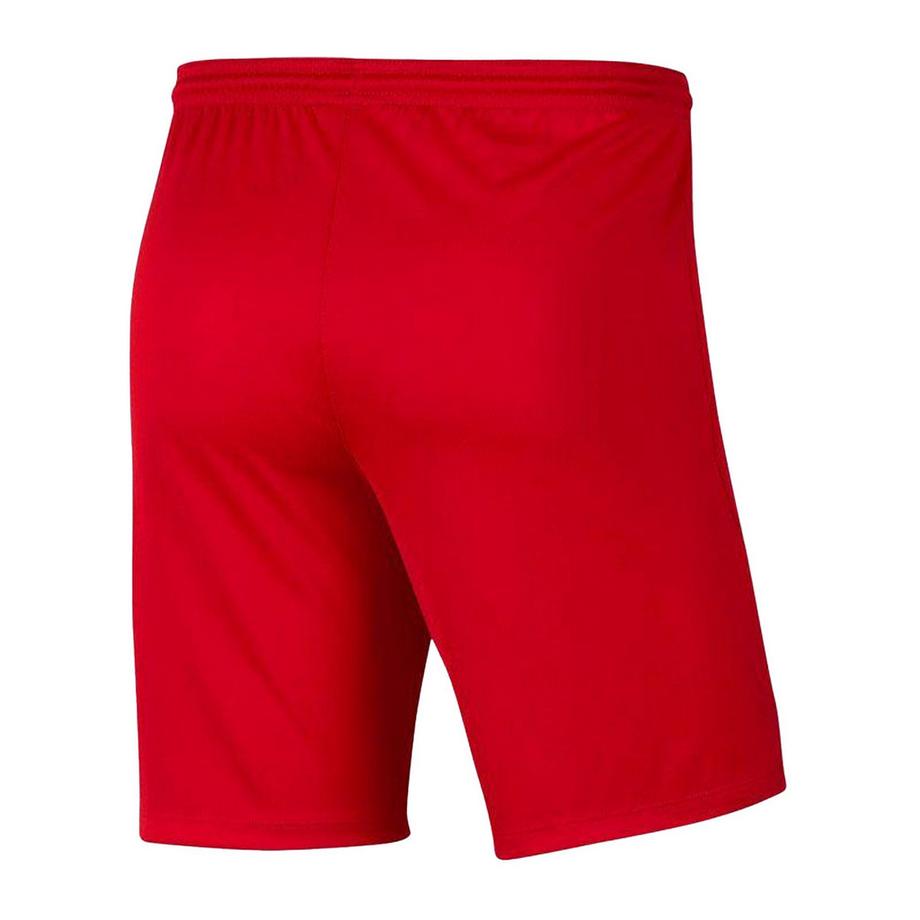 NIKE  Short Dry Park 