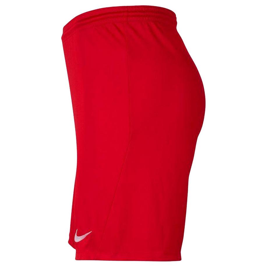NIKE  Short Dry Park 