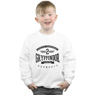 Harry Potter  Gryffindor Keeper Sweatshirt 
