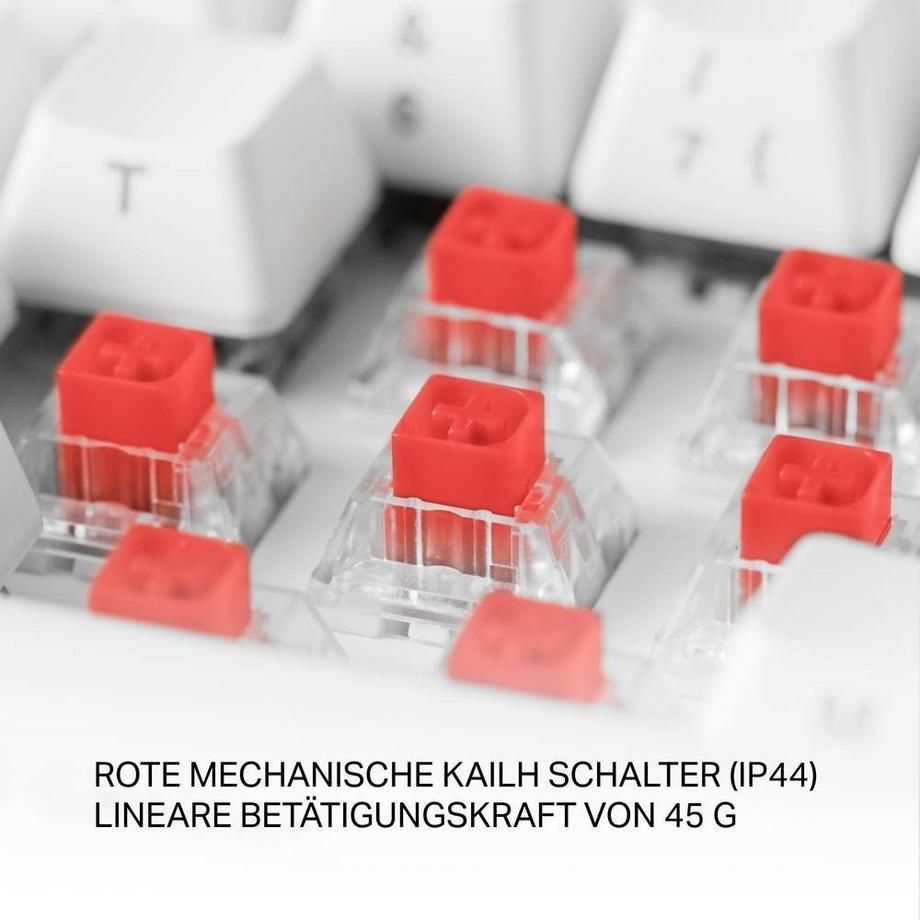 DELTACO GAMING  Clavier de jeu compact et sans fil 65% avec éclairage RGB 