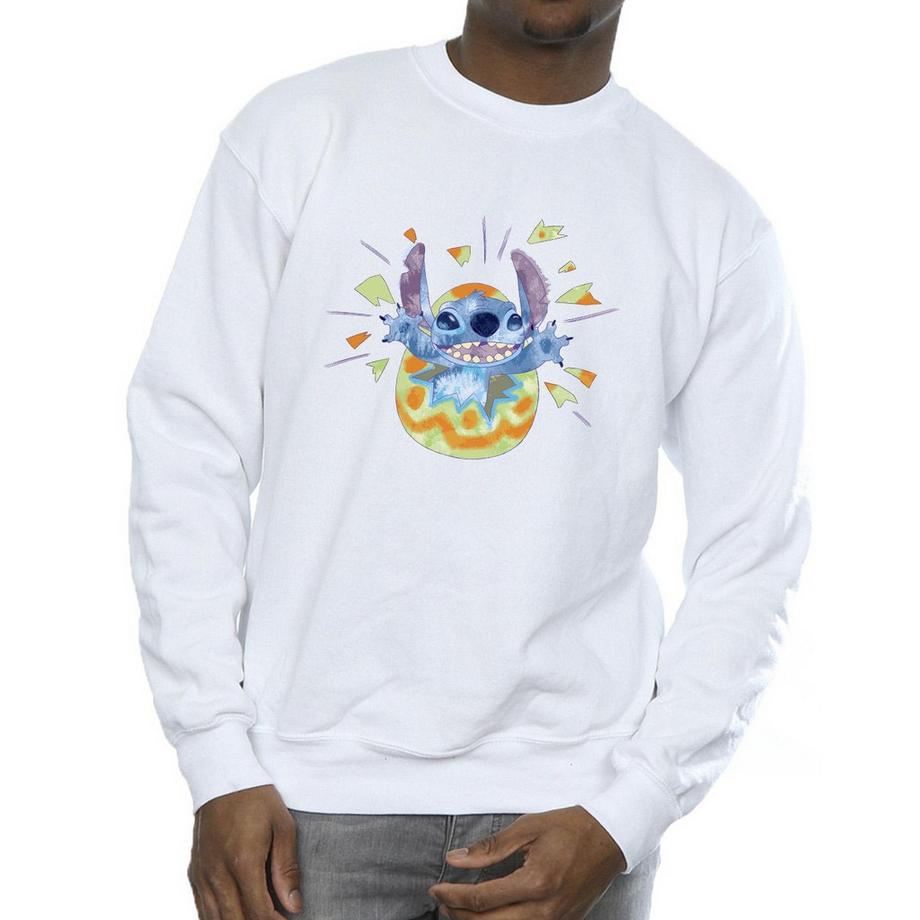 Disney Stitch Easter Egg Grafik Sweatshirt  