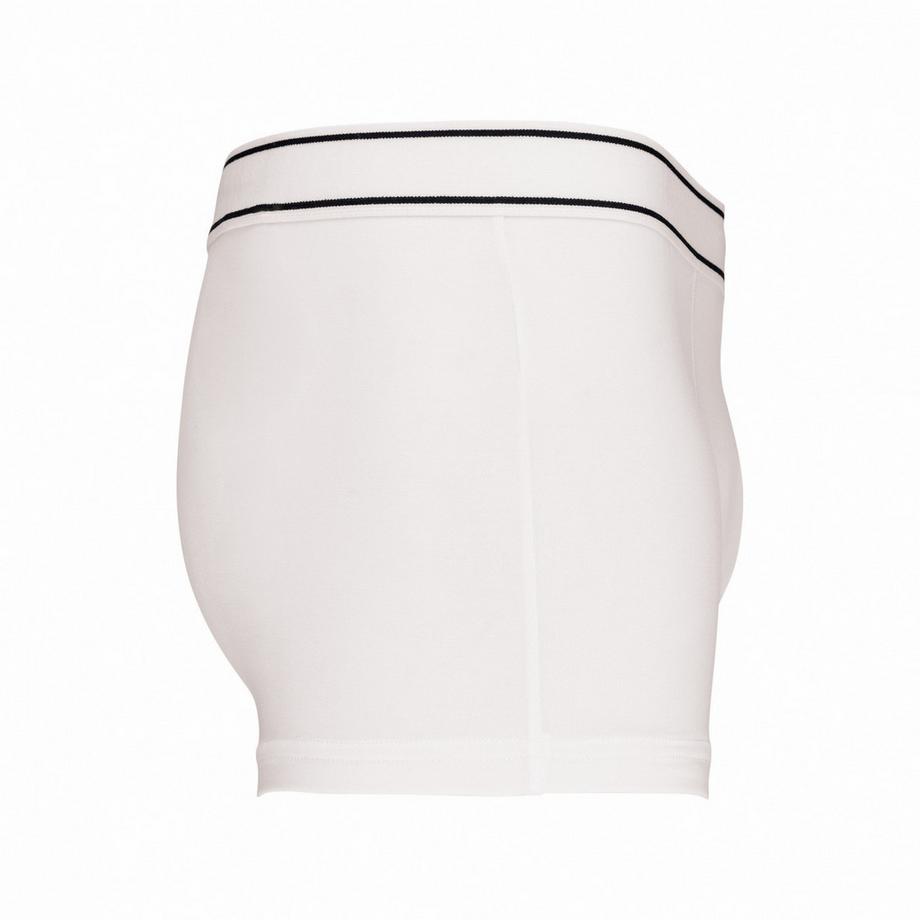 Kariban  Boxer 