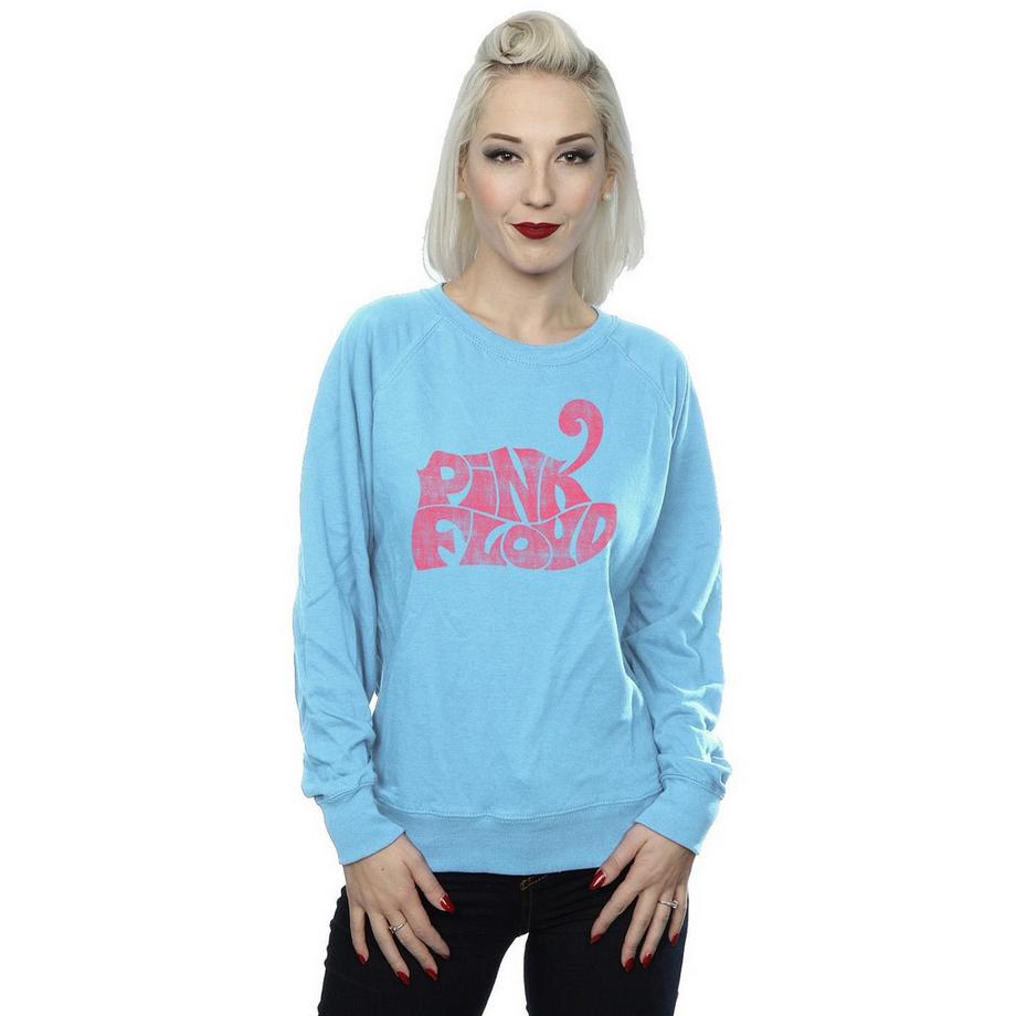 Pink Floyd Pink Floyd Logo Print Sweatshirt  
