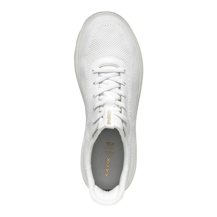 GEOX Baskets D Spherica  
