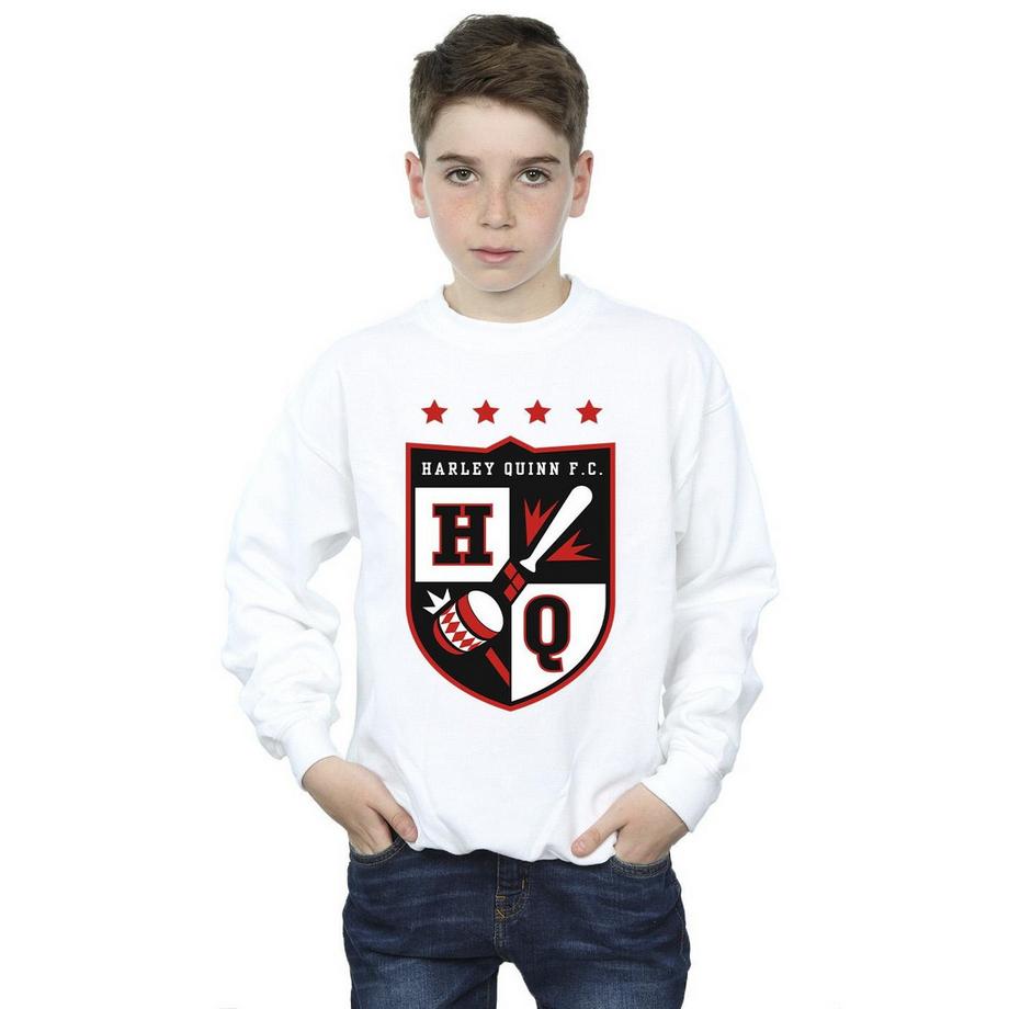Justice League  FC Sweatshirt 
