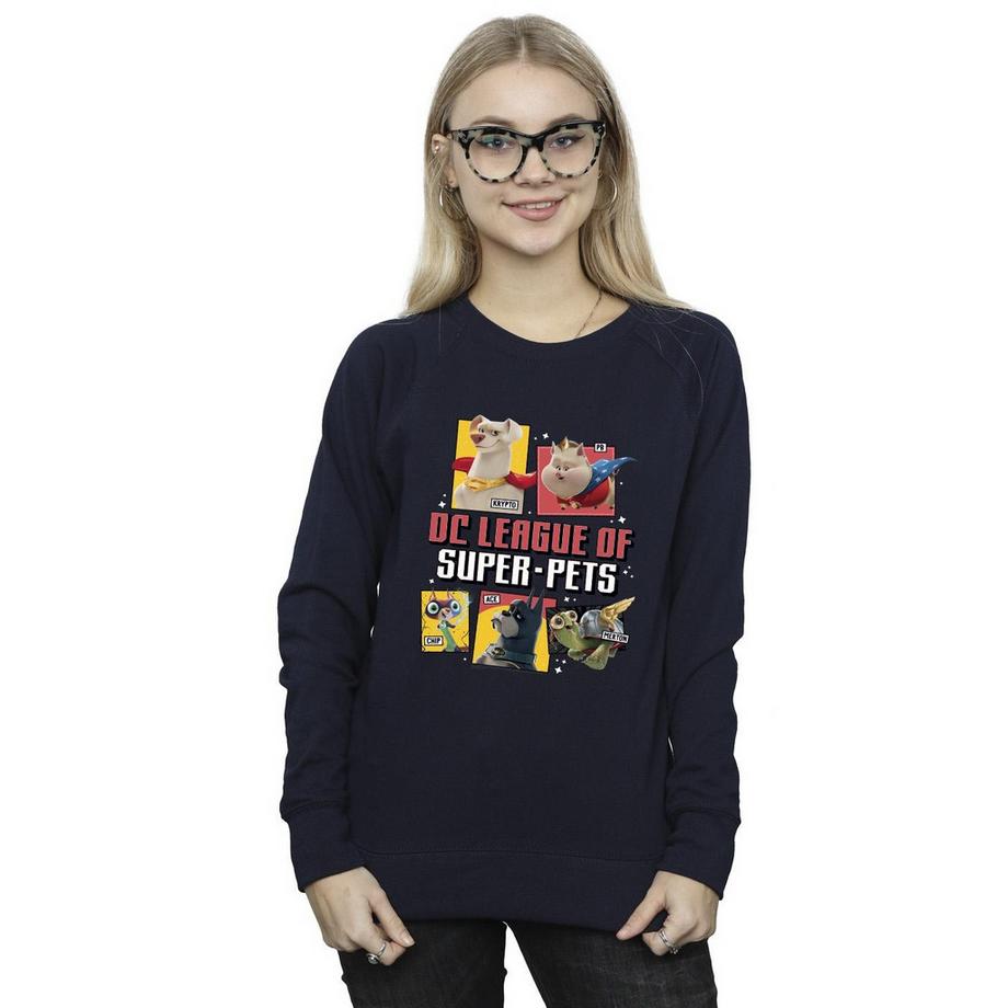 DC COMICS DC League Of Super-Pets Sweatshirt  