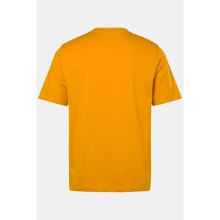 JP1880  T-shirt Basic en coton peigné, col rond curry 