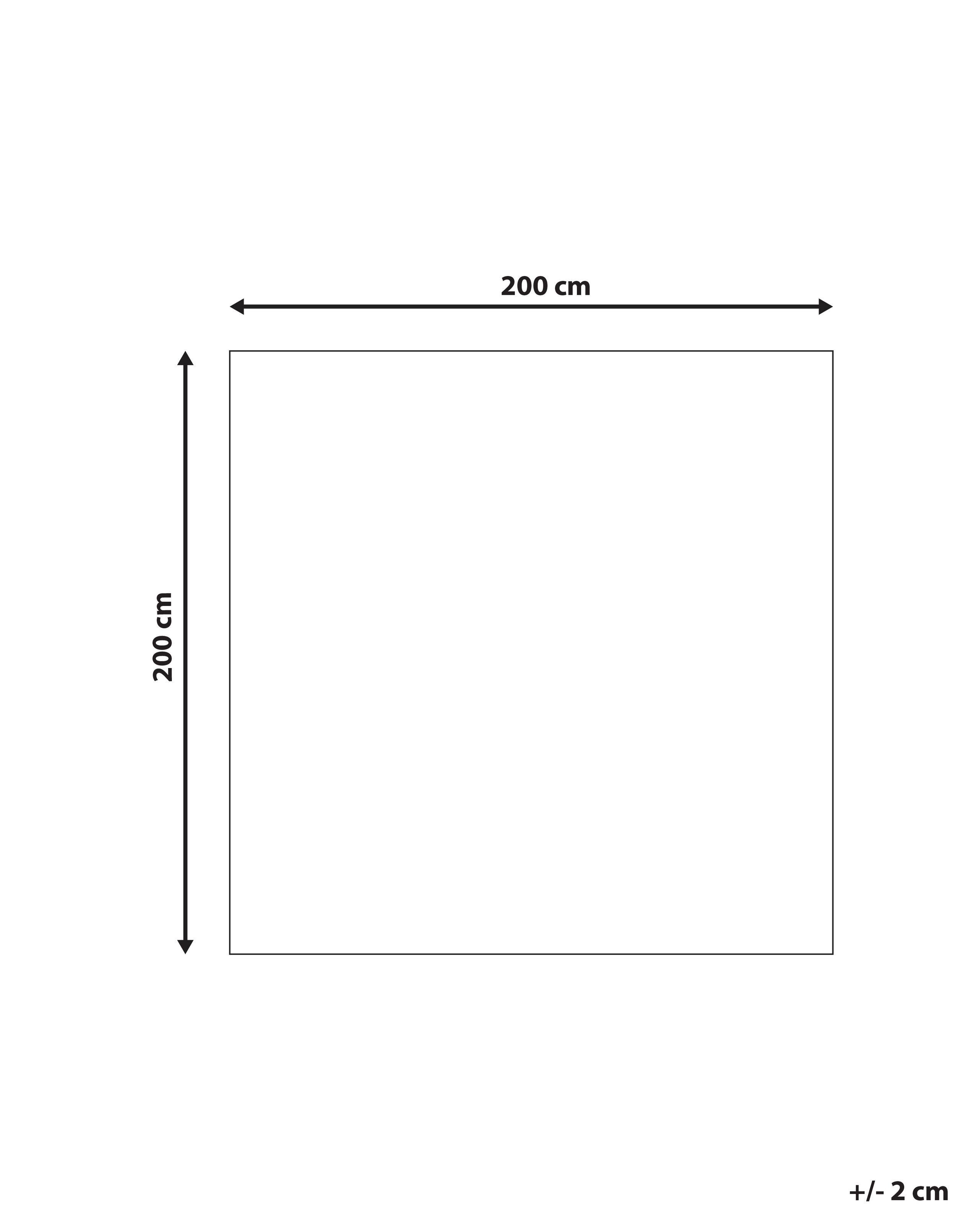 Beliani Tapis à poils longs en Polyester Moderne EVREN  