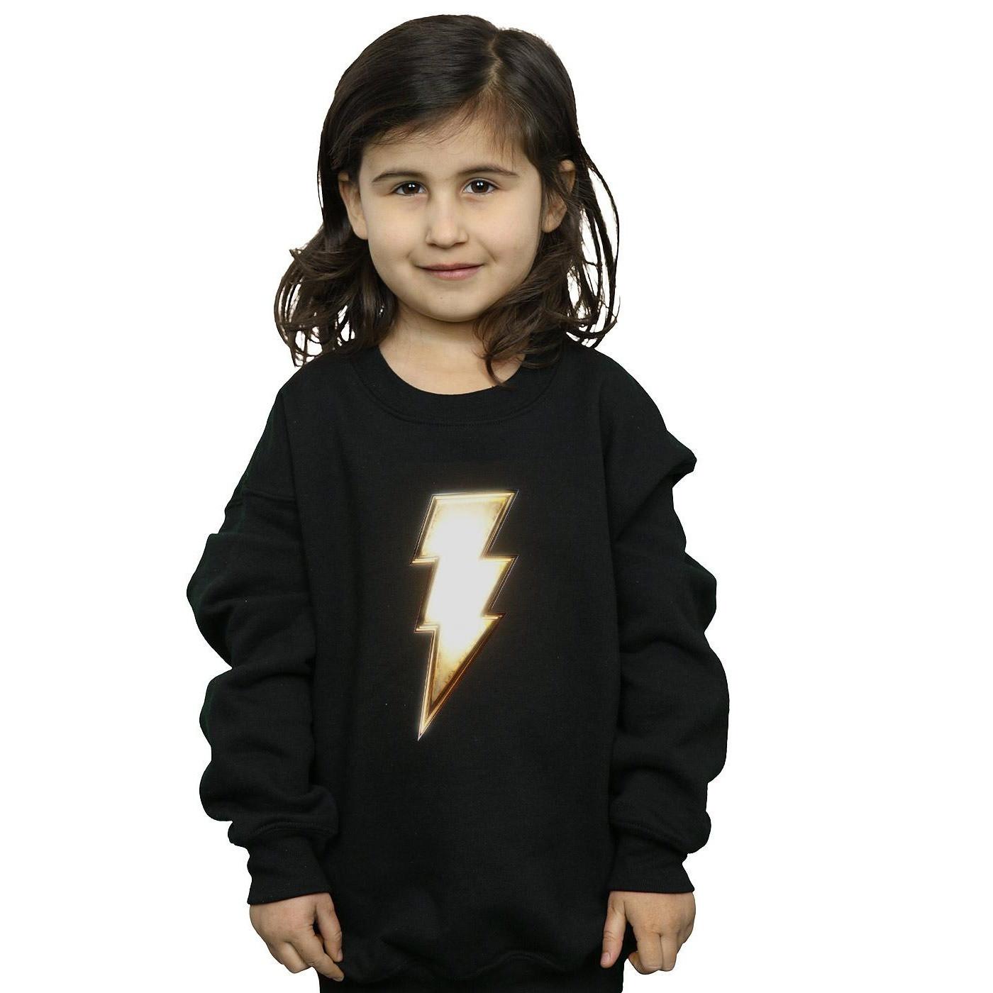 DC COMICS  Sweatshirt 