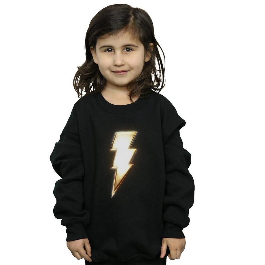 DC COMICS  Sweatshirt 