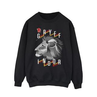 Harry Potter  Sweat GRYFFINDOR 