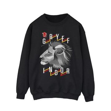 Gryffindor Sweatshirt