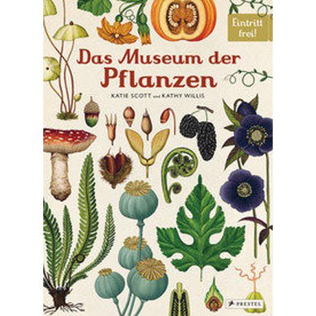 Das Museum der Pflanzen Scott, Katie; Willis, Kathy; Scott, Katie (Illustrationen) Copertina rigida 