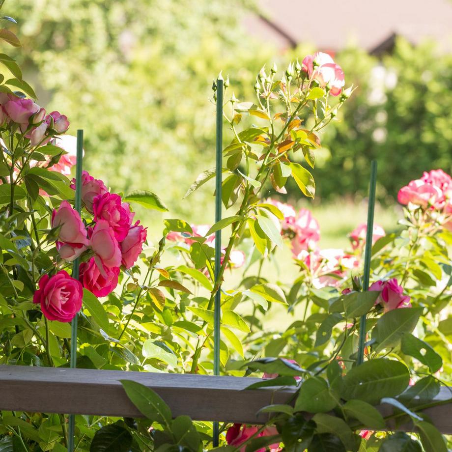 Northix  Pflanzstäbe 90 cm im 10er Set 