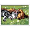 Ravensburger  Ravensburger CreArt Sleeping Cats and Dogs Colore per kit di verniciatura in base ai numeri 