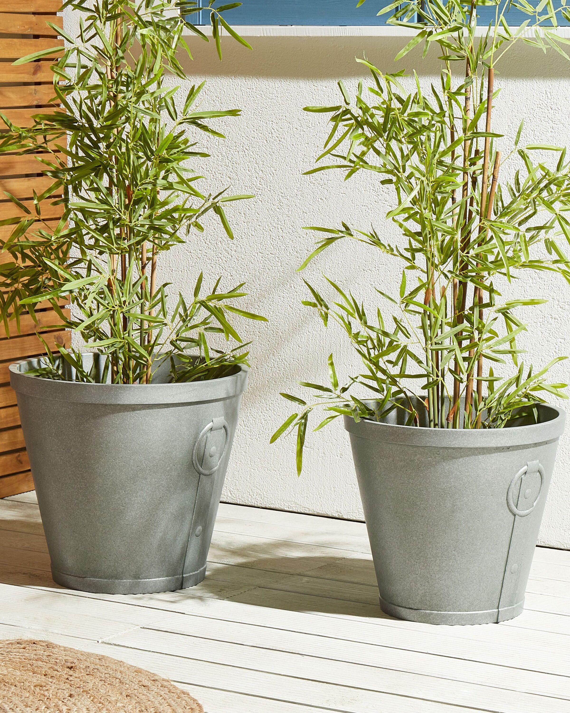 Beliani Cache-pot en Fibre d'argile Rustique VARI  