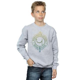 Harry Potter  Wingardium Leviosa Sweatshirt 