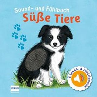 Sound- und Fühlbuch Süße Tiere (mit 6 Sound- und Fühlelementen) Doering, Svenja (Illustrationen) Couverture rigide 