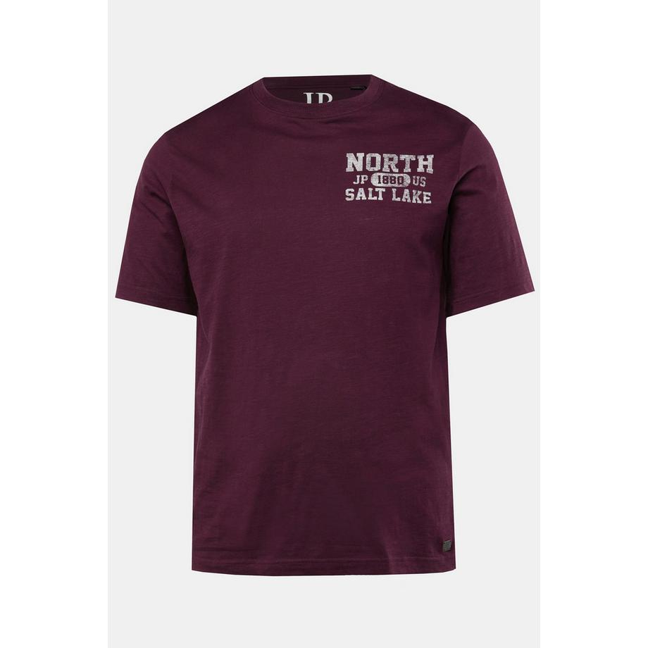 JP1880 T-shirt in jersey fiammato mezze maniche con stampa davanti e dietro  