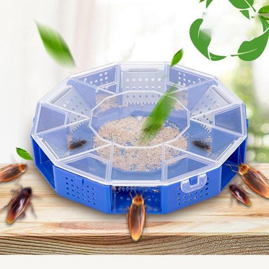 Northio Schabenfalle  