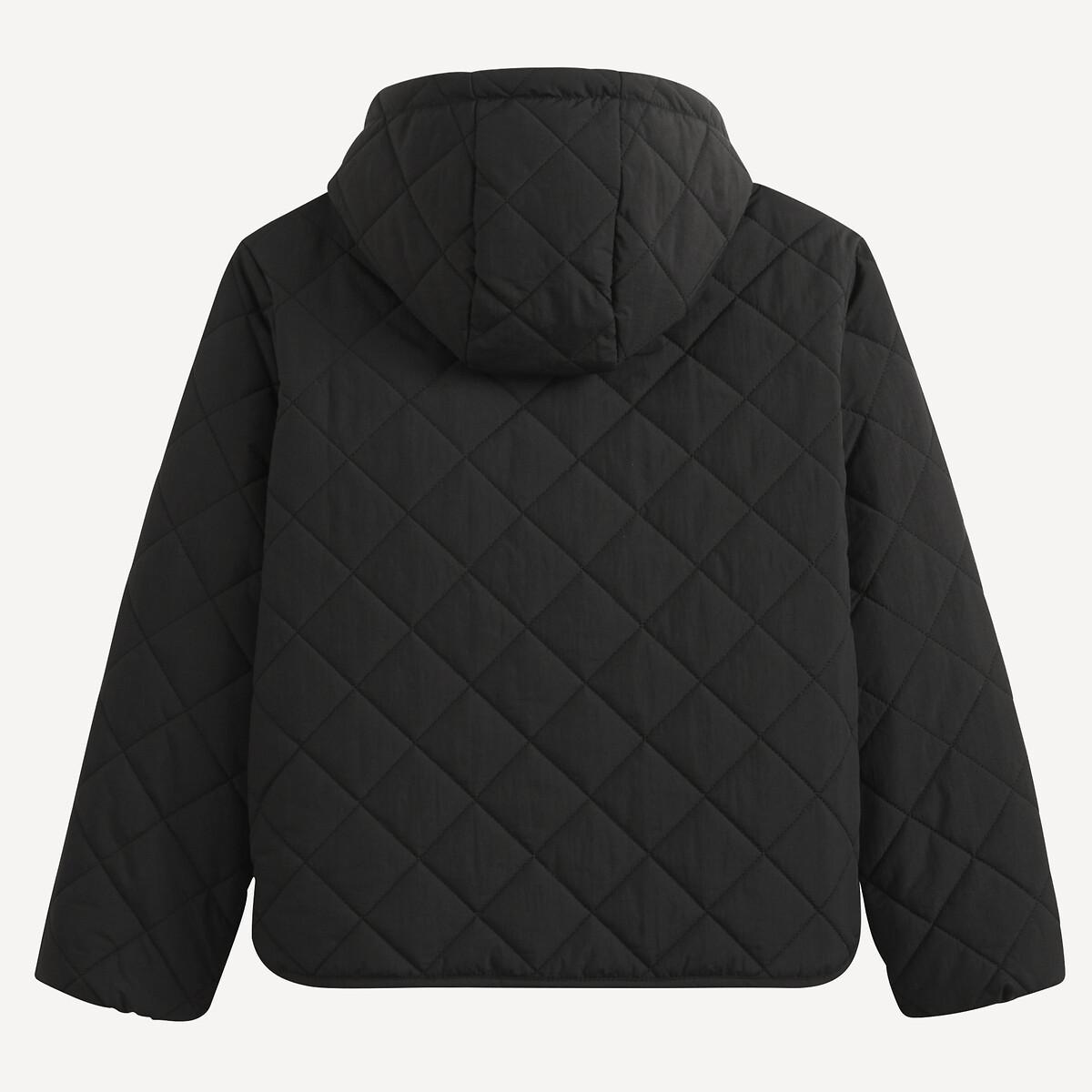 La Redoute Collections  Doudoune légère à capuche 