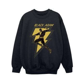 DC COMICS  Sweatshirt 