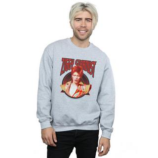 David Bowie Ziggy Stardust Sweatshirt  