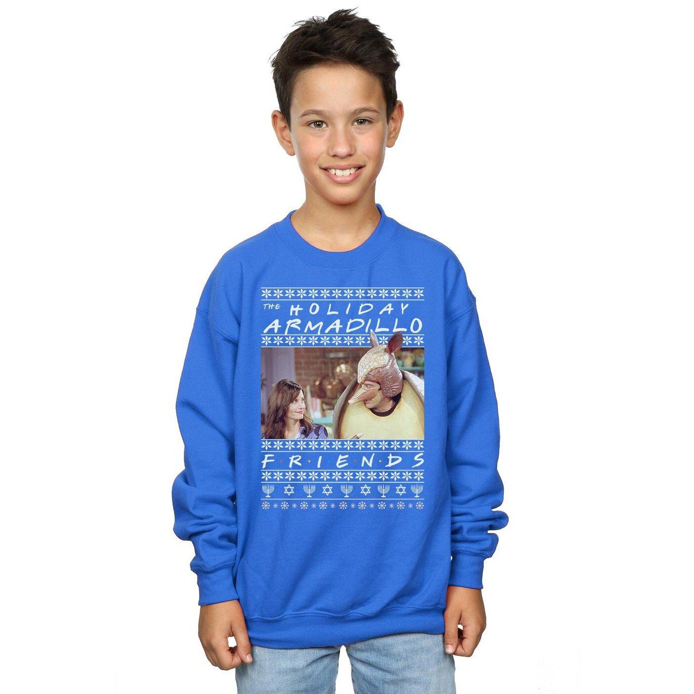 Friends  Fair Isle Holiday Armadillo Sweatshirt 