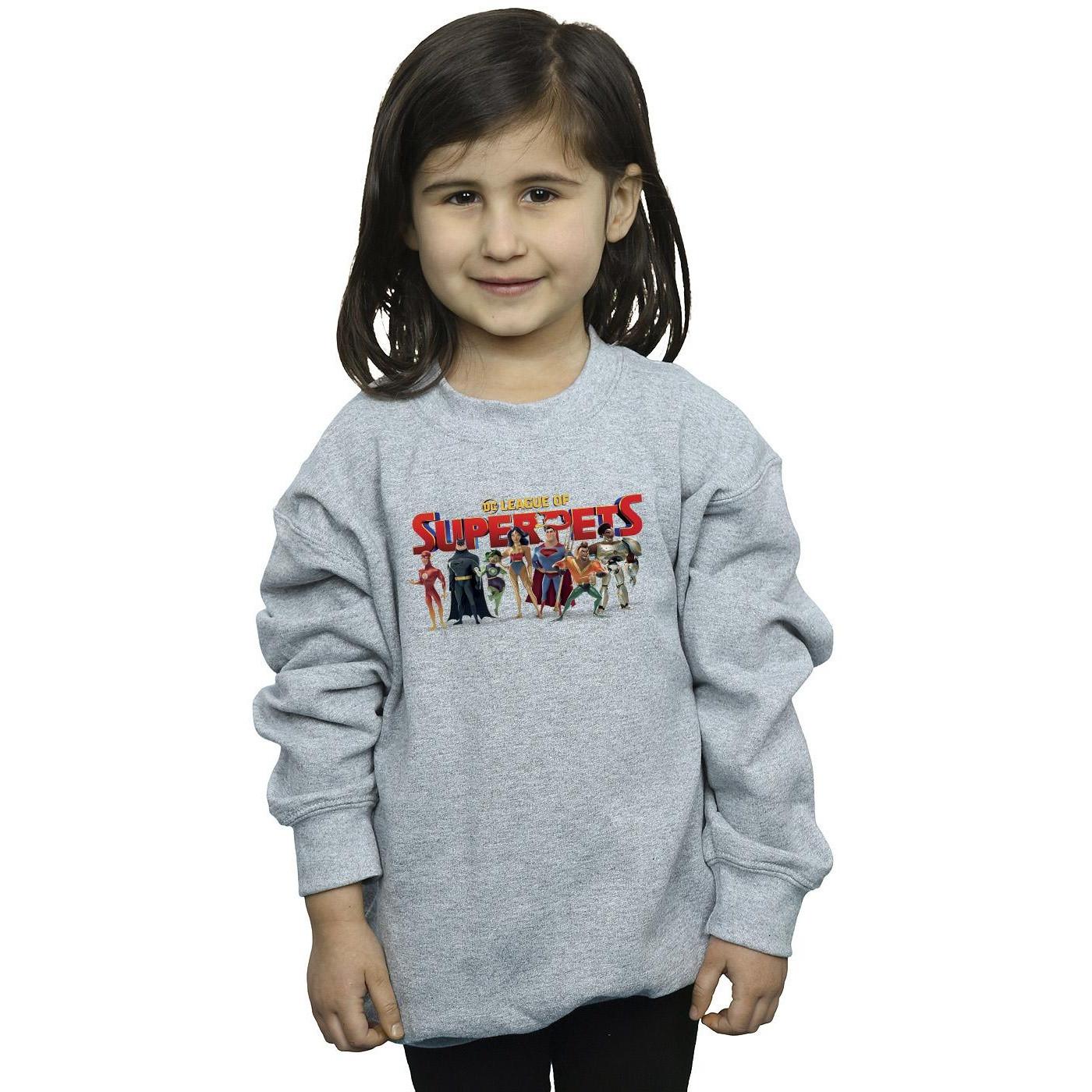 DC COMICS  DCs DC League Of SuperPets Sweatshirt 