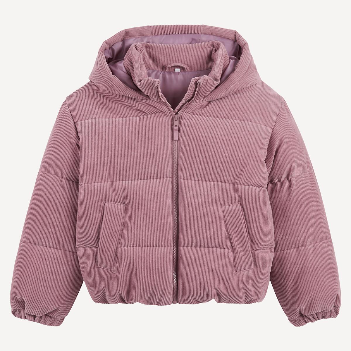 La Redoute Collections Warme Kapuzensteppjacke aus Cord  