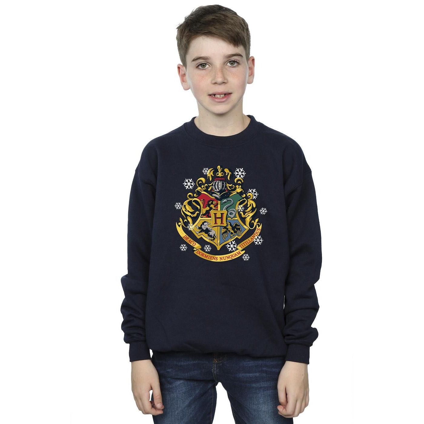 Harry Potter  Sweatshirt 
