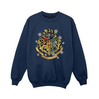 Harry Potter  Sweatshirt 
