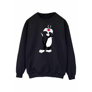 LOONEY TUNES Sylvester the Cat Sweatshirt Col Rond  