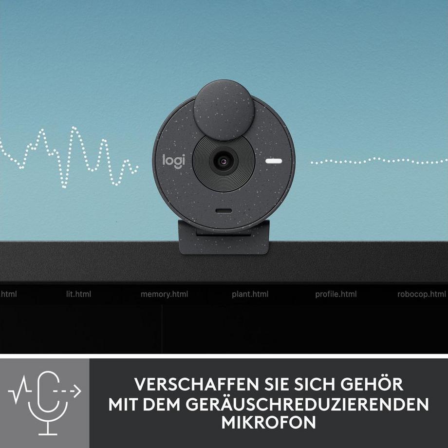 Logitech  Logitech Brio 300 Full-HD-Webcam mit kristallklarer Bildqualität (Grau) 