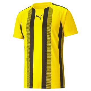 PUMA  Jersey Team Liga Striped 