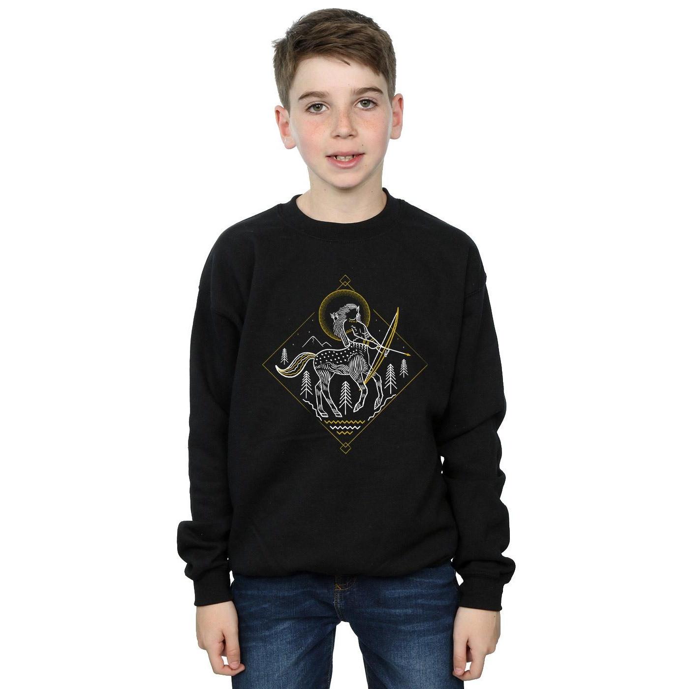 Harry Potter  Sweat 