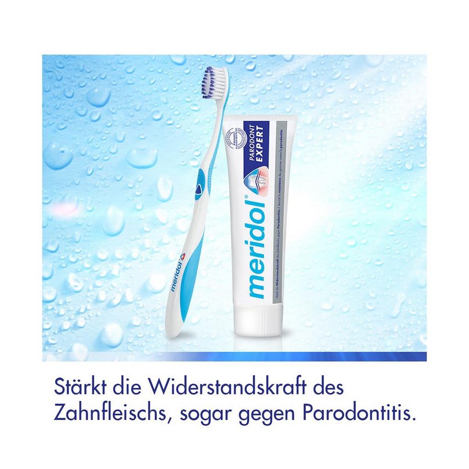 meridol Parodont Expert Parodont Expert Zahnpasta, Gegen Zahnfleischprobleme & Parodontitis 