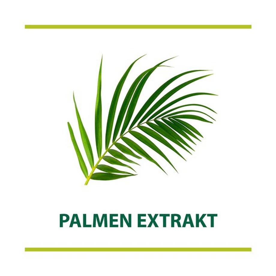 Palmolive  RASIERCR.100ML PALM 