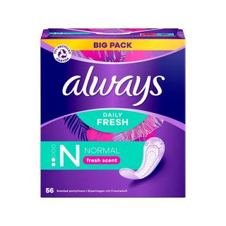 always Fresh&Protect Normal BigPack Fresh & Protect Normal Fresh Big Pack 