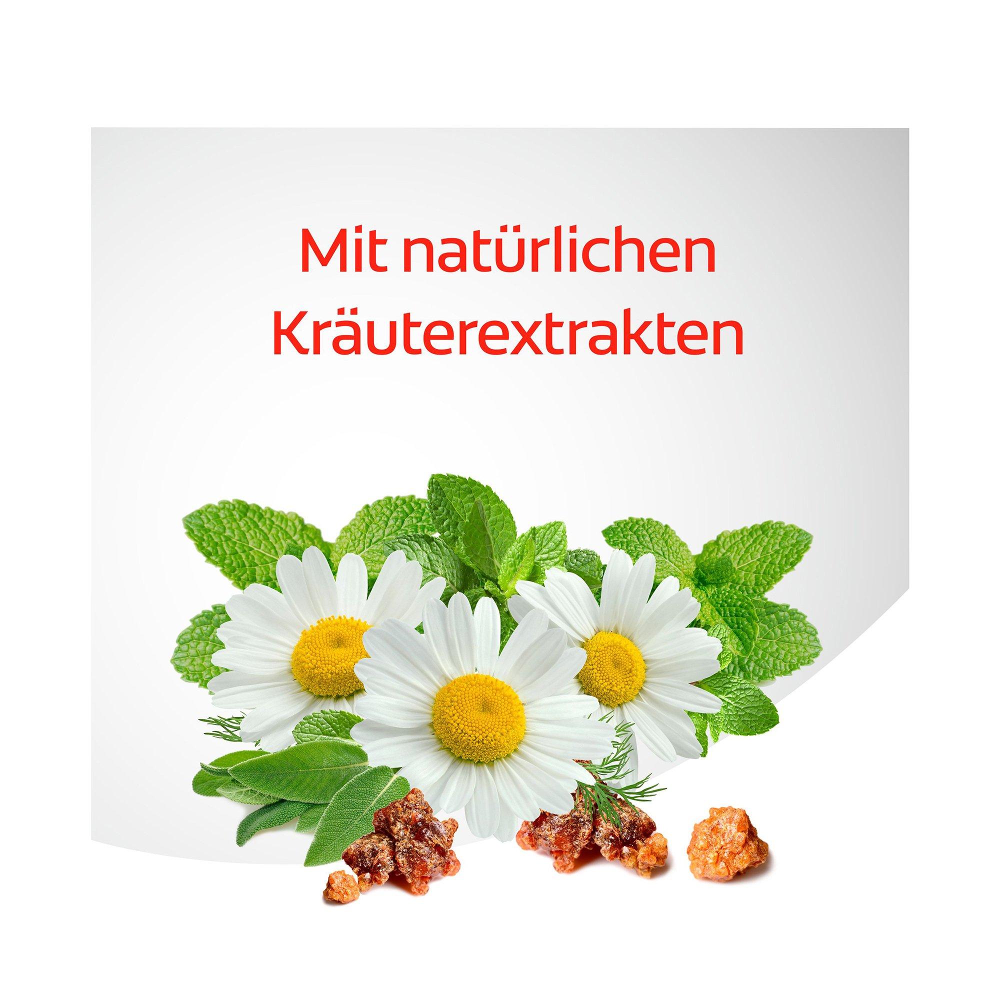 Colgate Dentagard Classic Dentagard Original Dentifricio, Gengive Forti E Denti Sani 